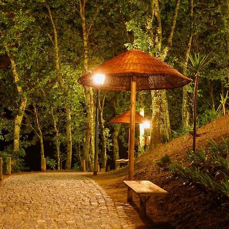 Вилла Quinta Da Costa Vila da Lixa Экстерьер фото